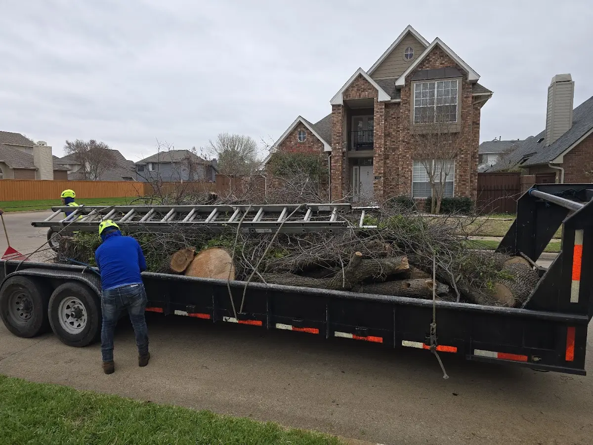 Expert Tree Removal with proper safety equipment in Tamassee